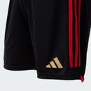 Shorts Flamengo 2023/24 II