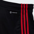 Shorts Flamengo 2023/24 II